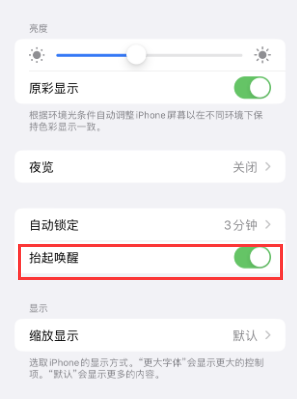 木垒苹果授权维修站分享iPhone轻点无法唤醒怎么办