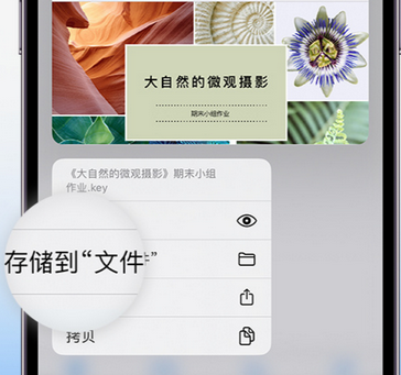 木垒apple维修中心分享iPhone文件应用中存储和找到下载文件