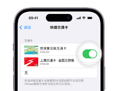 木垒apple维修点分享iPhone上更换Apple Pay快捷交通卡手绘卡面 