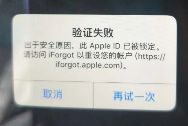 木垒iPhone维修分享iPhone上正常登录或使用AppleID怎么办 