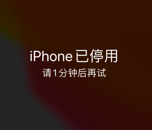 木垒苹果手机维修分享:iPhone 显示“不可用”或“已停用”怎么办？还能保留数据吗？ 