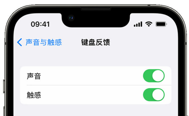 木垒苹果手机维修分享iPhone 14触感键盘使用方法 