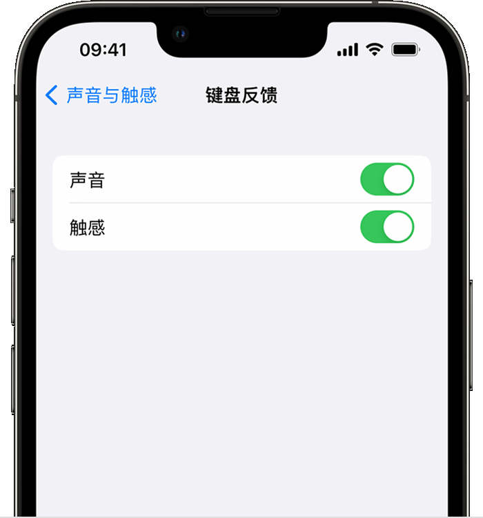 木垒苹果14维修店分享如何在 iPhone 14 机型中使用触感键盘 