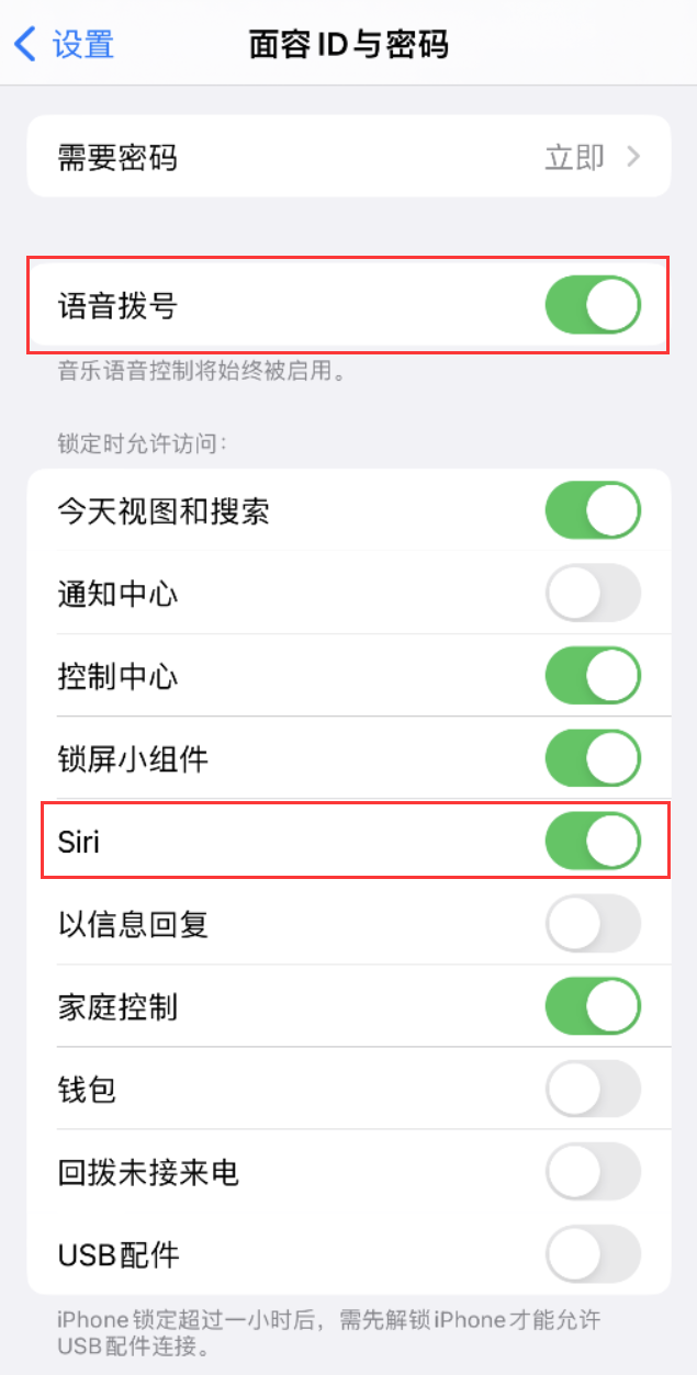 木垒苹果维修网点分享不解锁 iPhone 的情况下通过 Siri 拨打电话的方法 