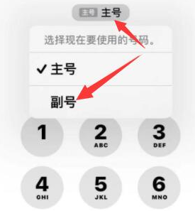 木垒苹果14维修店分享iPhone 14 Pro Max使用副卡打电话的方法 