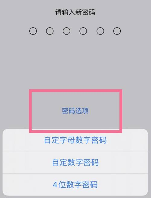 木垒苹果14维修分享iPhone 14plus设置密码的方法 