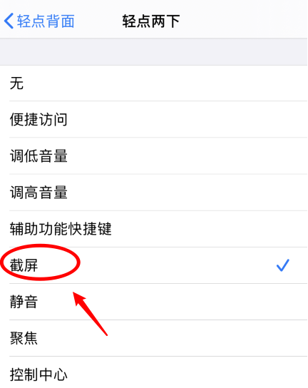 木垒苹果手机维修分享iPhone12如何启用双击截屏 